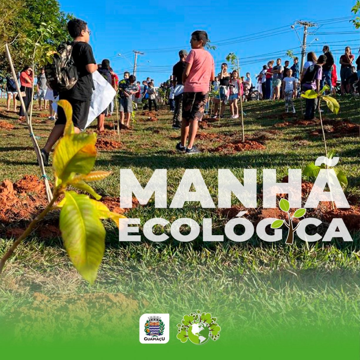 Prefeitura promove série de eventos para celebrar Dia Mundial do Meio Ambiente