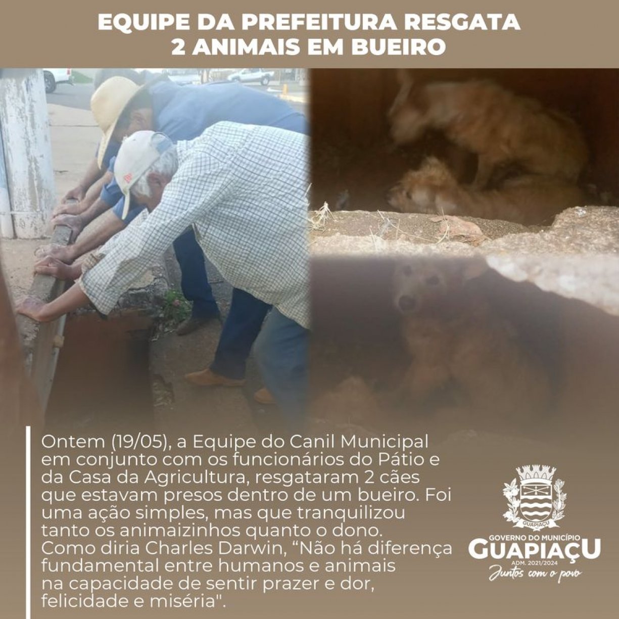 EQUIPE DA PREFEITURA RESGATA 2 ANIMAIS EM BUEIRO‼